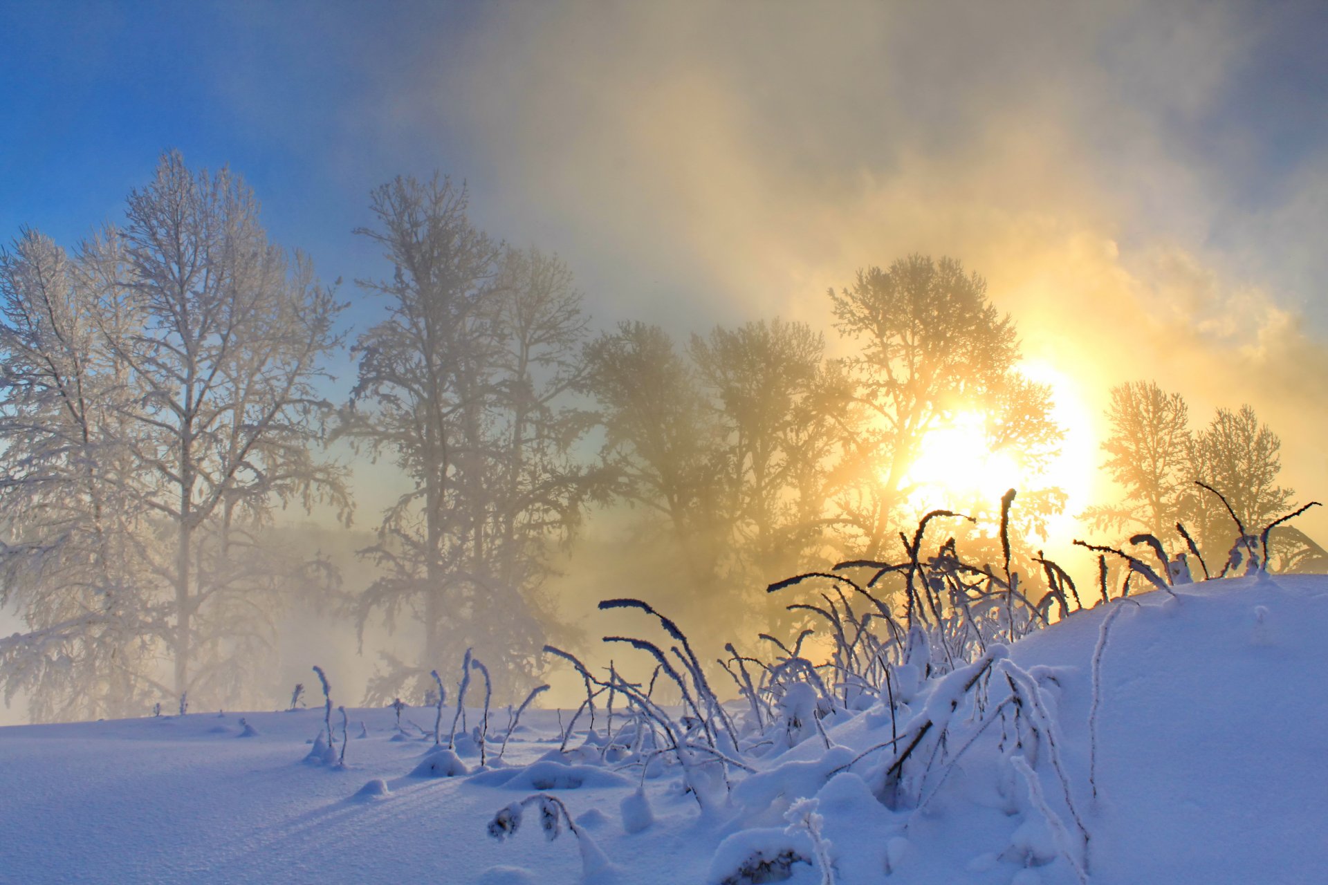 matin hiver neige soleil nature