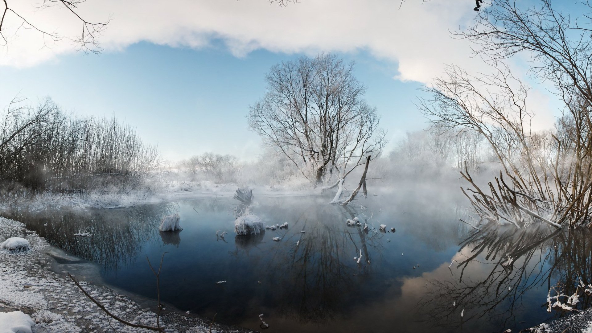 winter lake fog nature