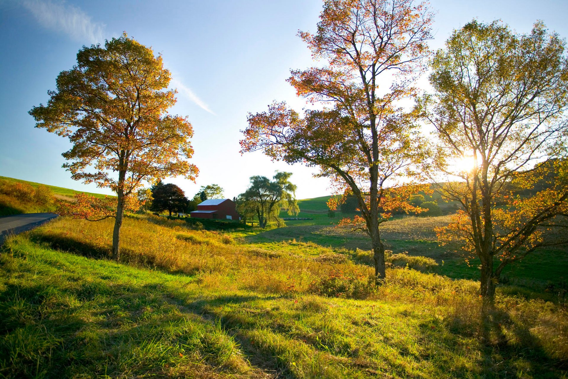 automne ciel arbre maison route champ espace humeur