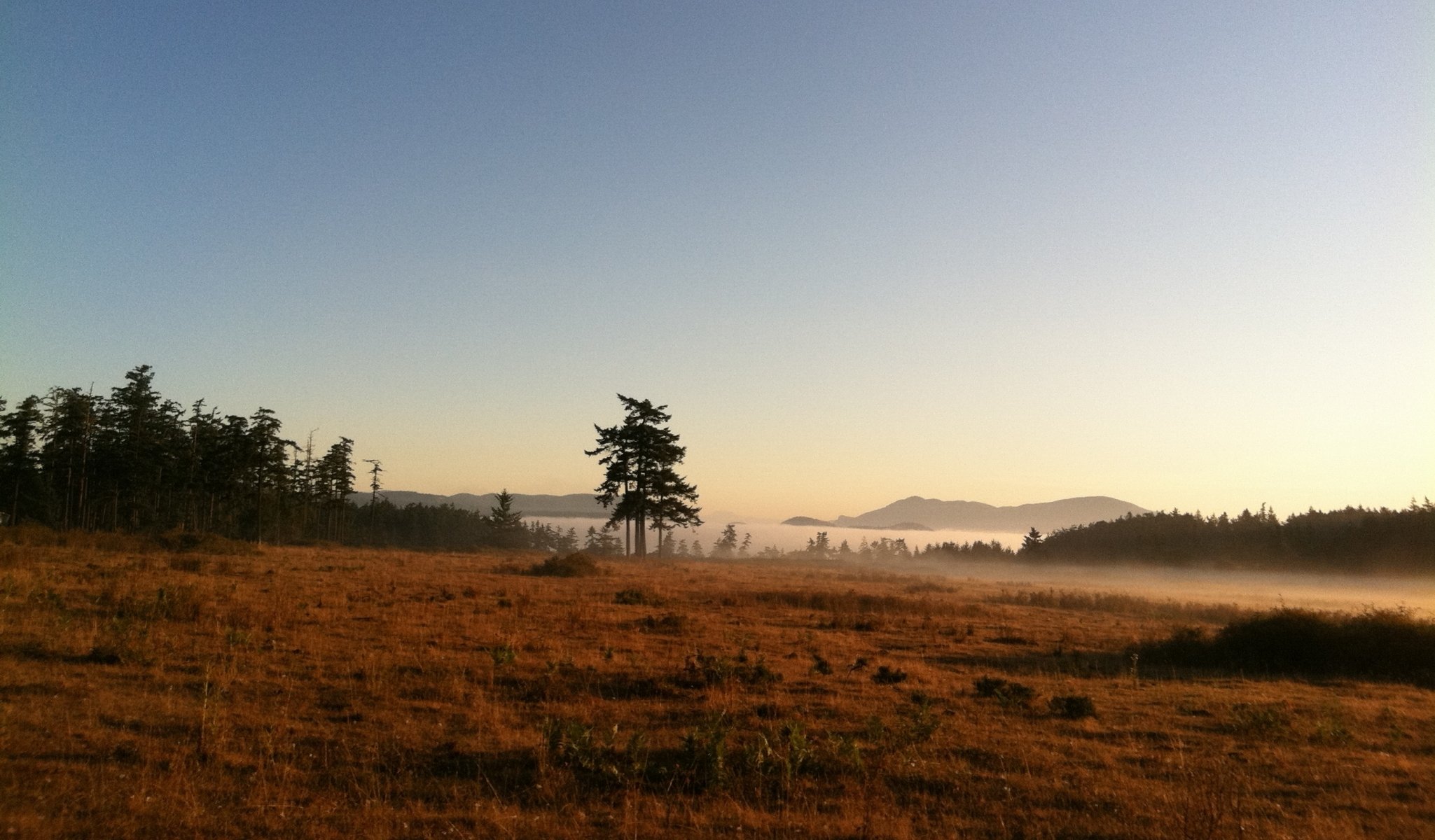 morning mountains fog lake nature fog with meadow and tree morning