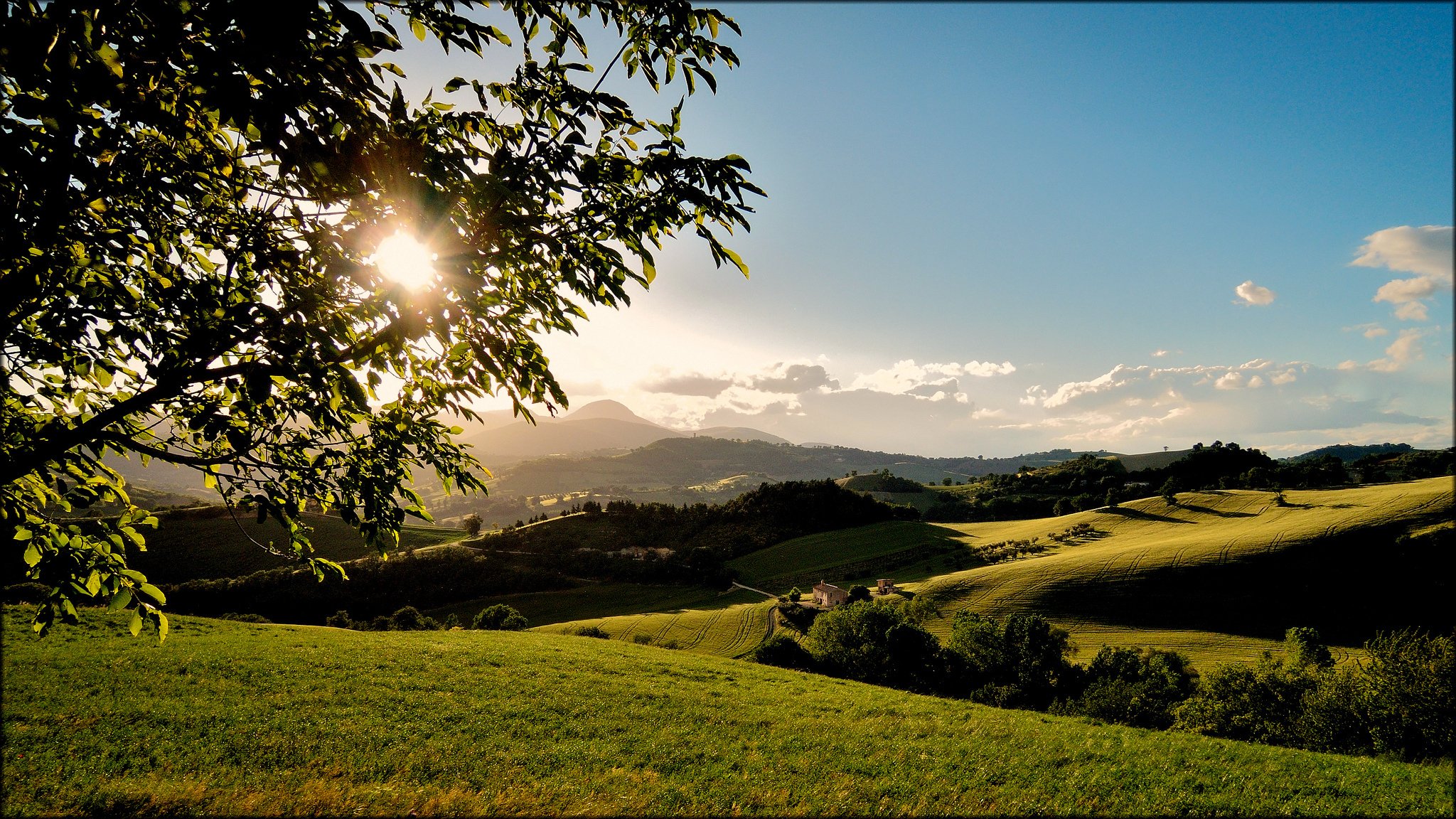 colline campi albero rami sole