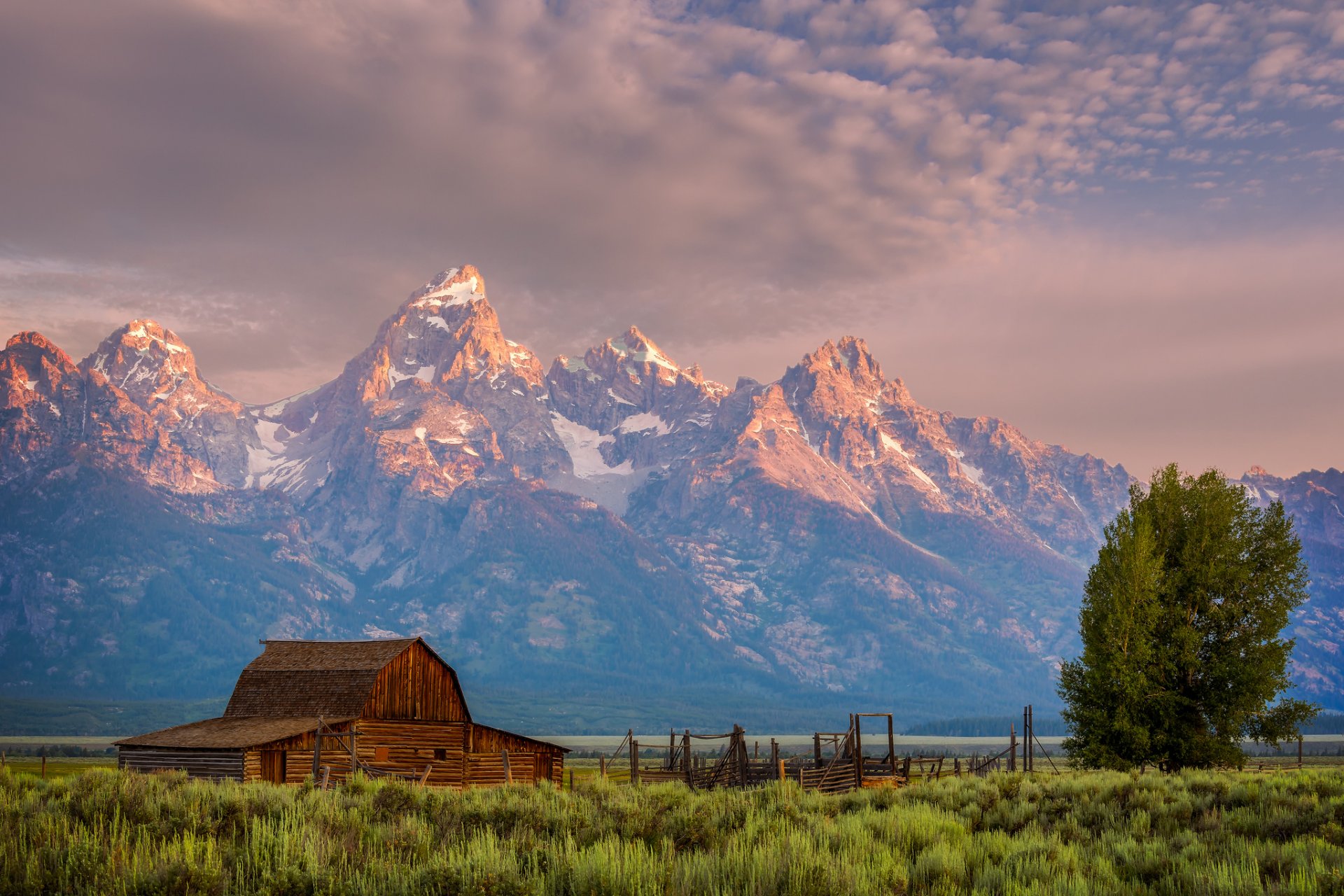 united states wyoming national park grand teton mountain tree house night sky cloud