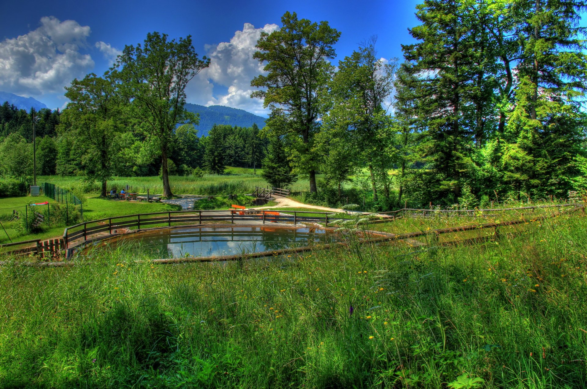 landscape germany bayern munich grass nature photo