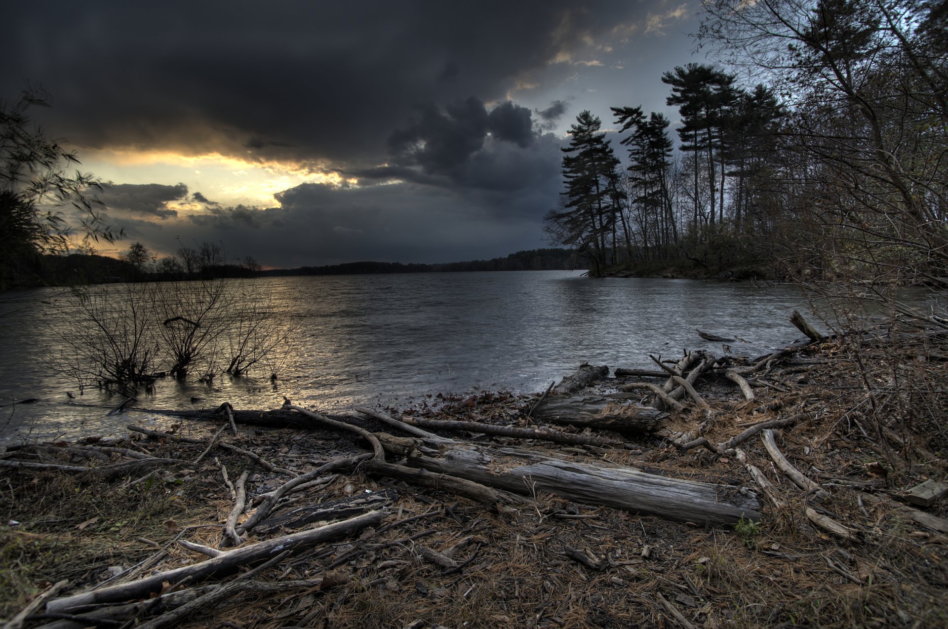 fiume nuvole sera alberi