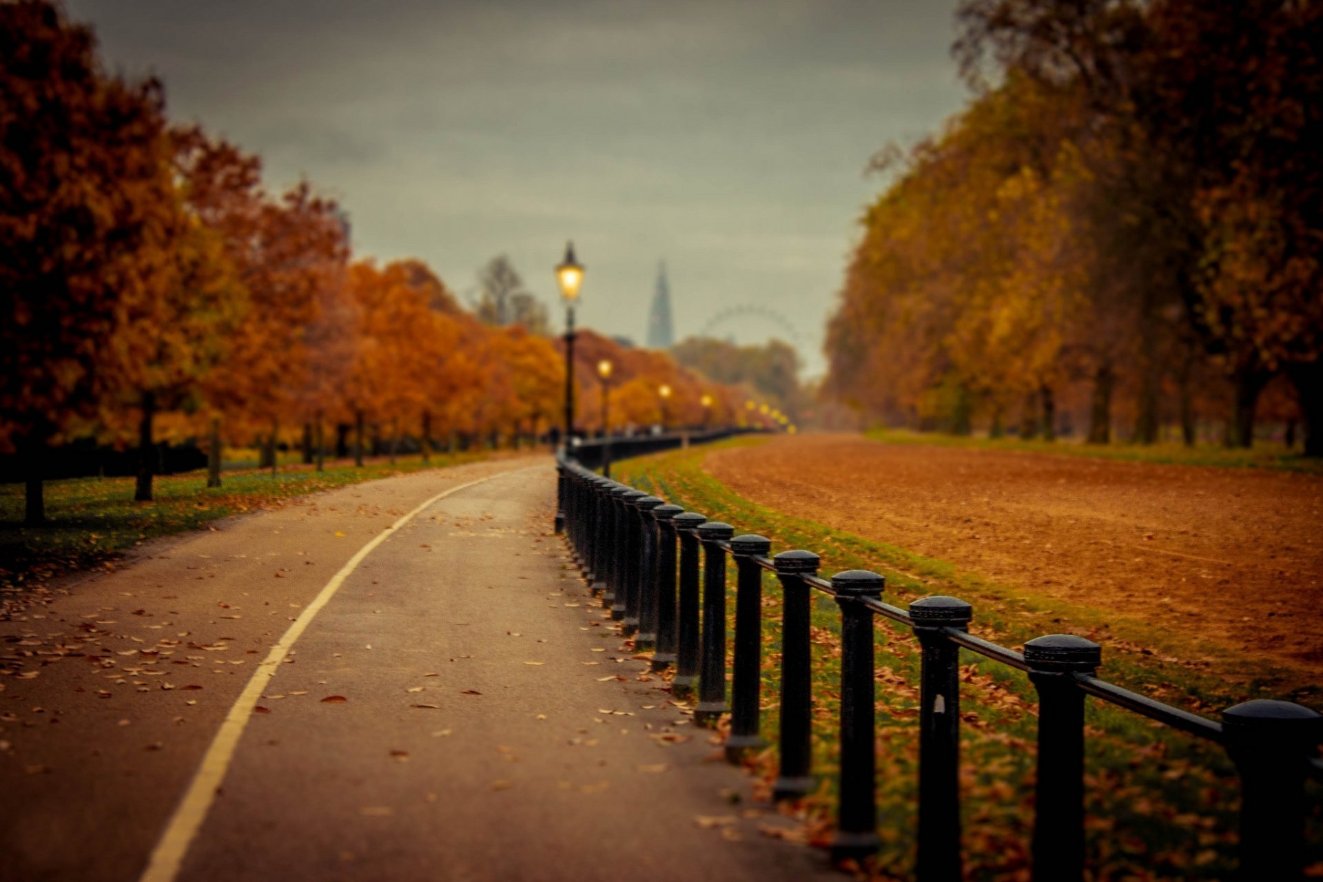 natur park bäume blätter bunt straße herbst herbst farben zu fuß