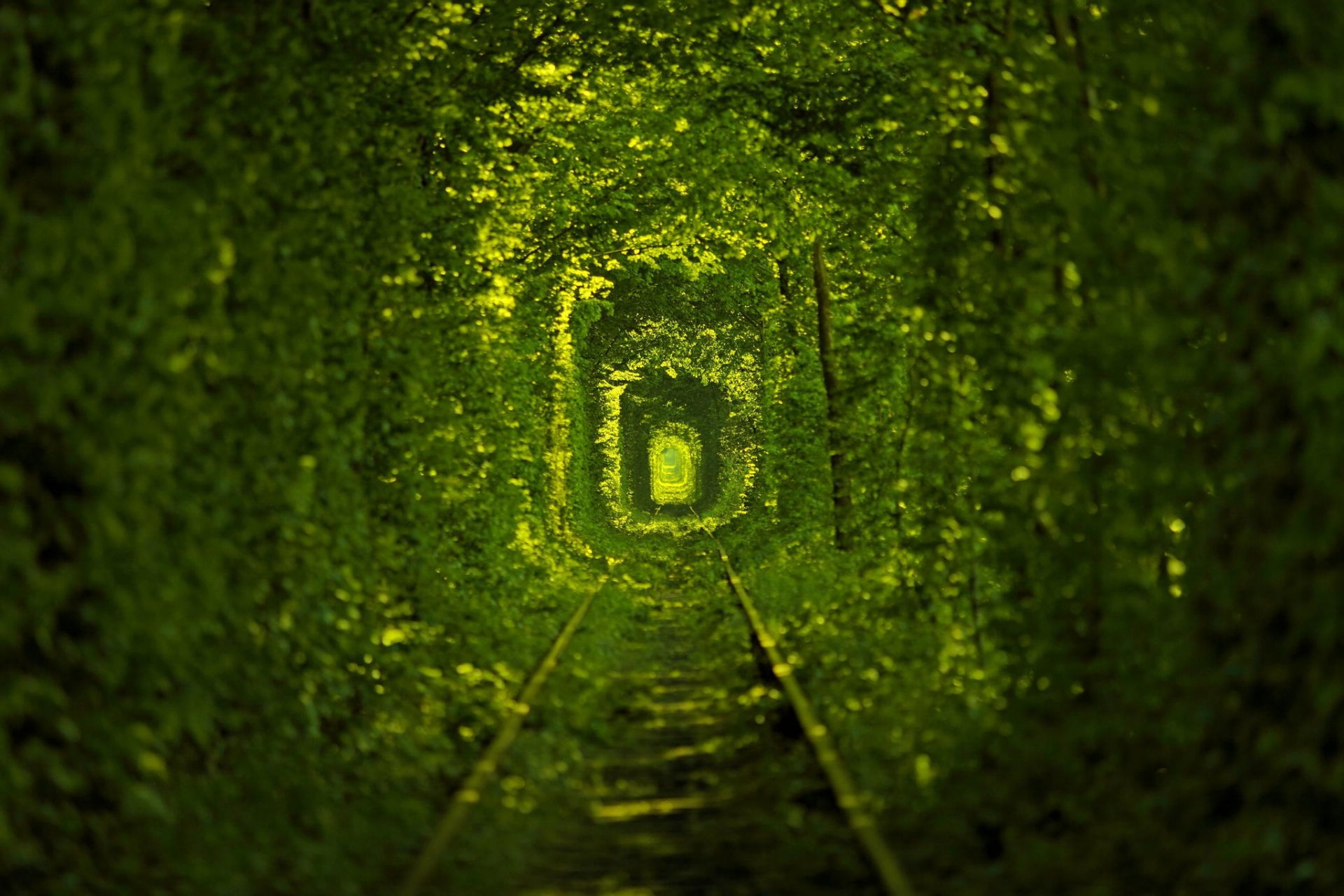 túnel del amor naturaleza vías del tranvía ucrania