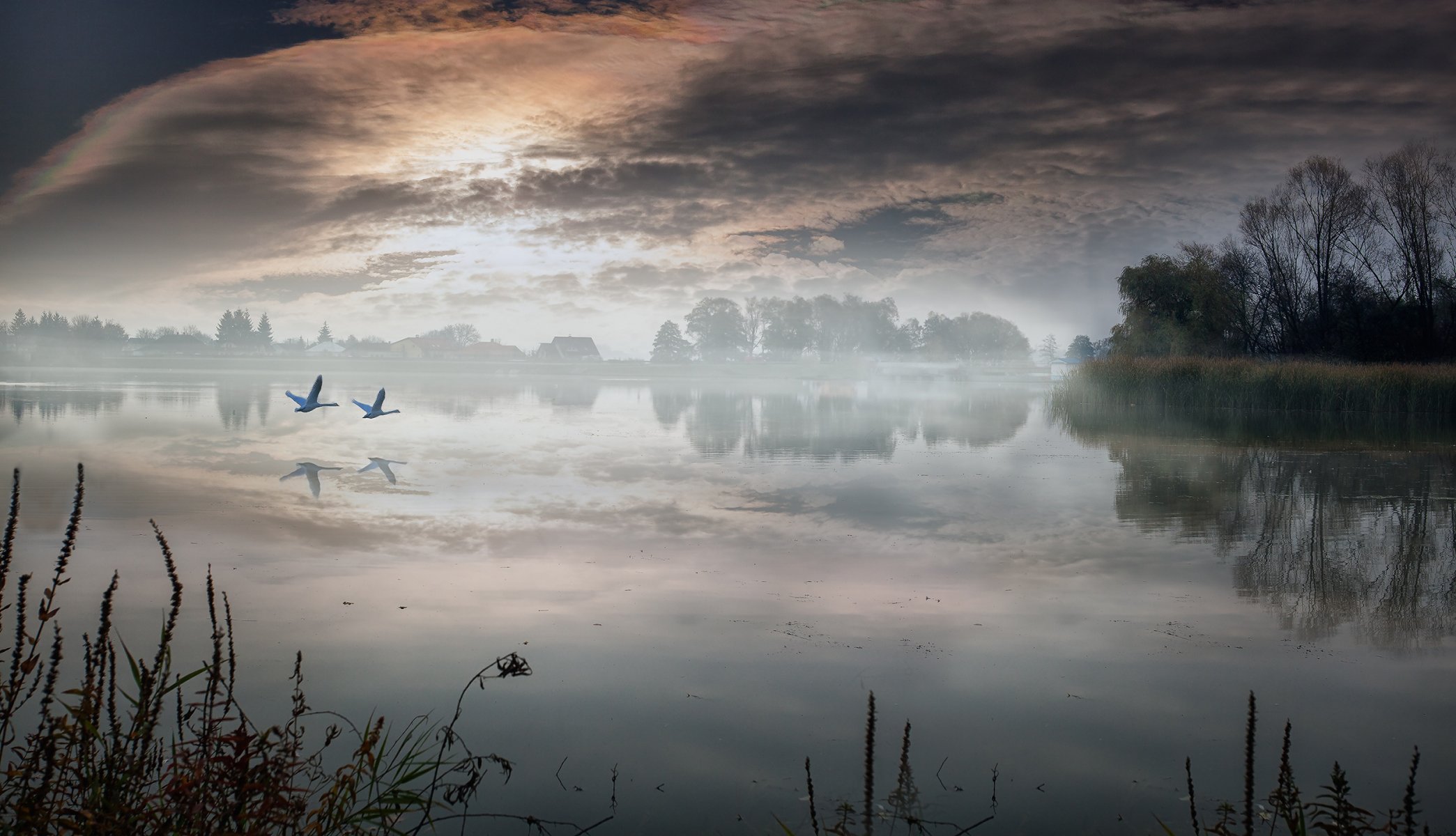 paisaje lago mañana pueblo cisnes