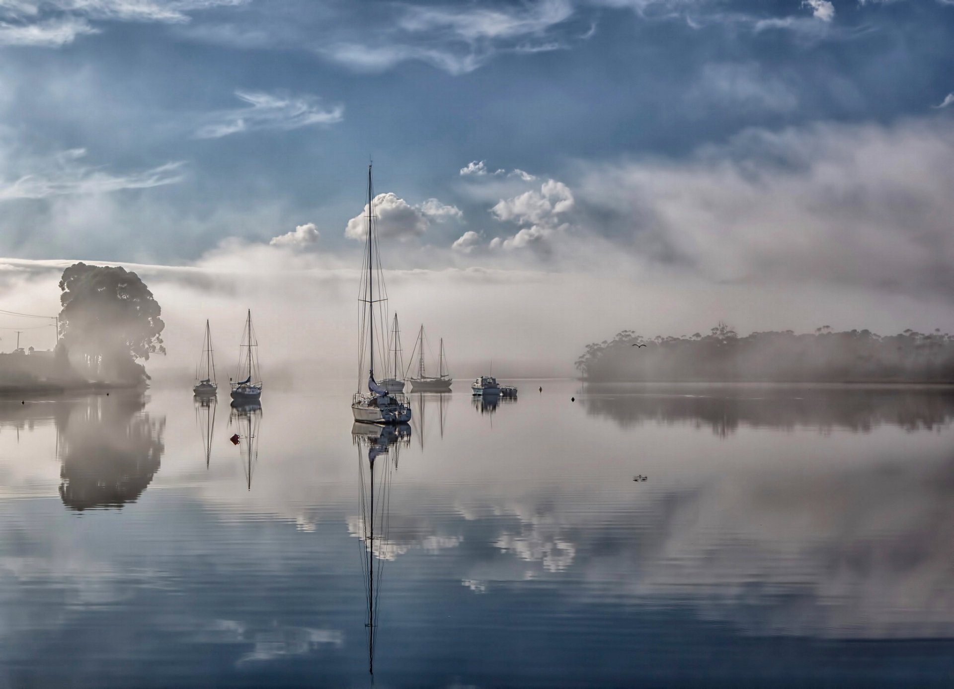 flussnebel tasmanien australien fluss nebel