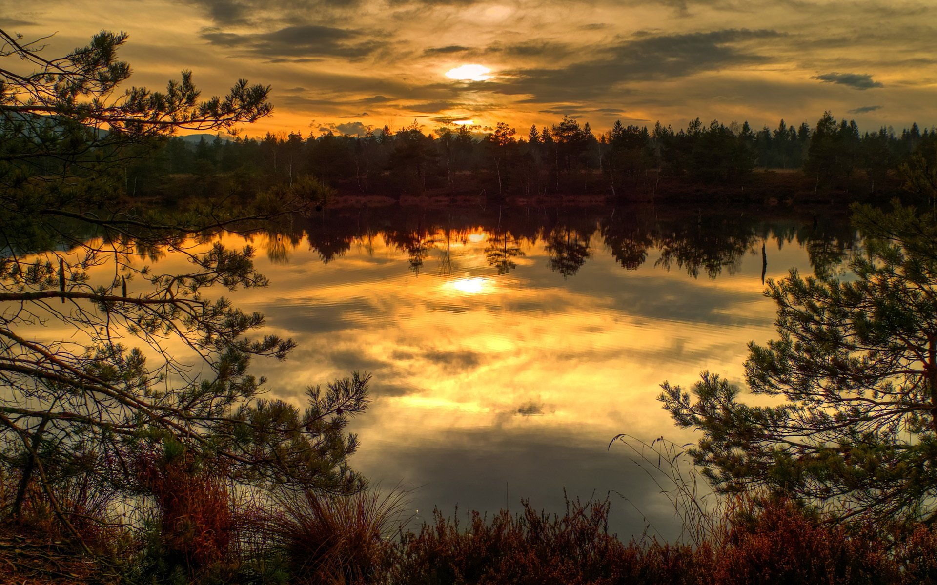 eau herbe sec automne lac coucher de soleil épinette aiguilles de pin