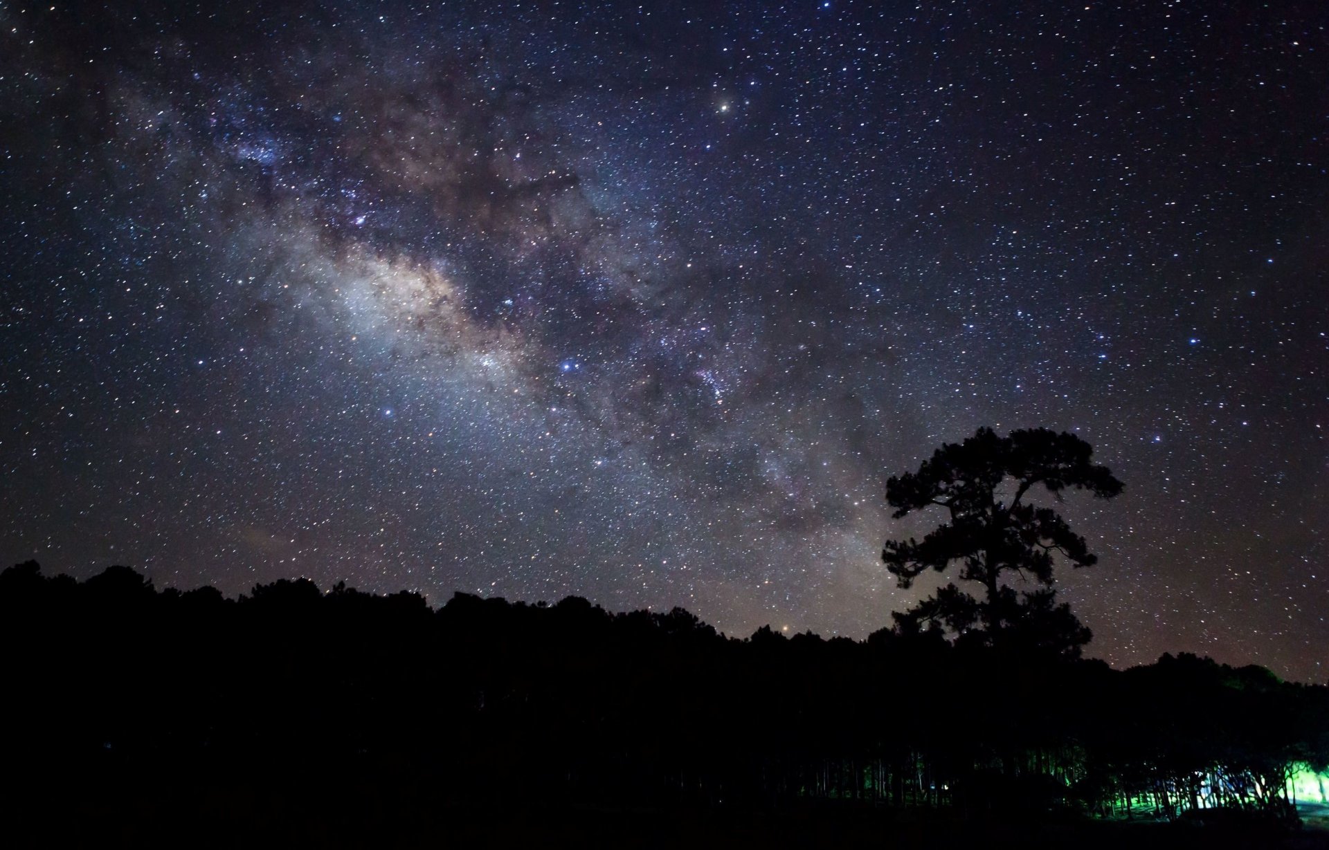 naturaleza noche noche estrellas árbol árboles fondo papel pintado widescreen pantalla completa widescreen widescreen