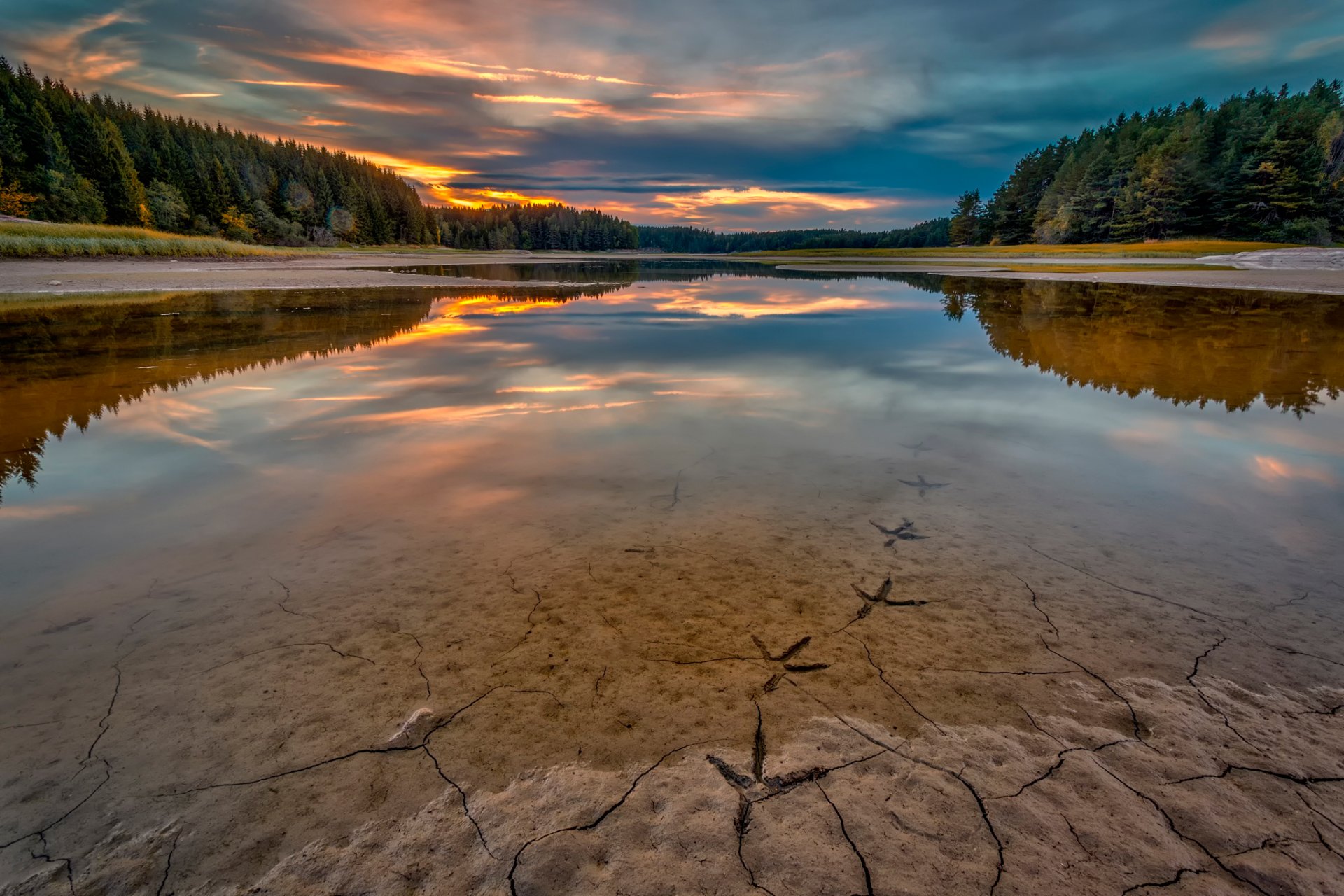 rivière norvège traces d oiseaux