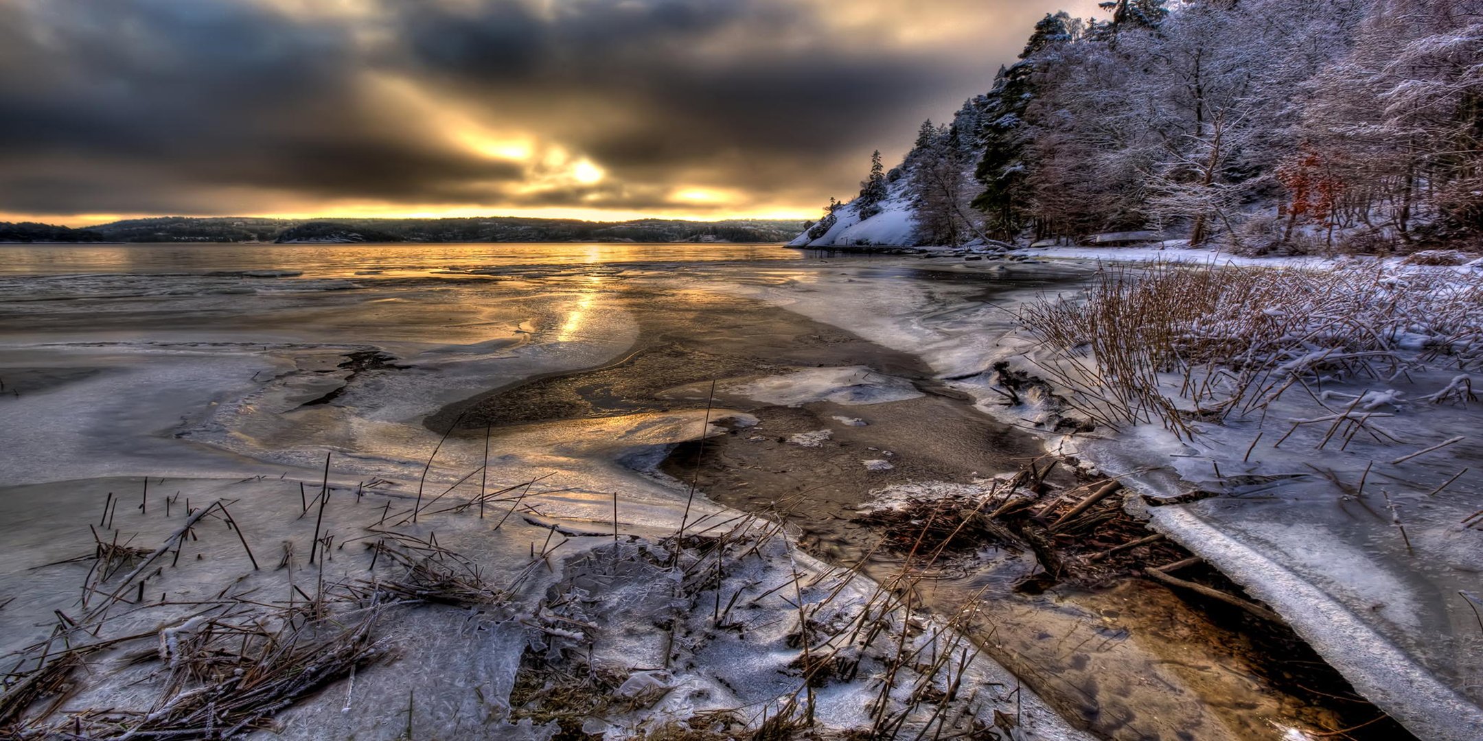 svezia acqua neve alberi