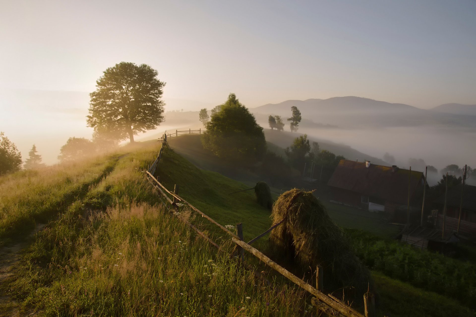 karpaty wieś poranek mgła lato