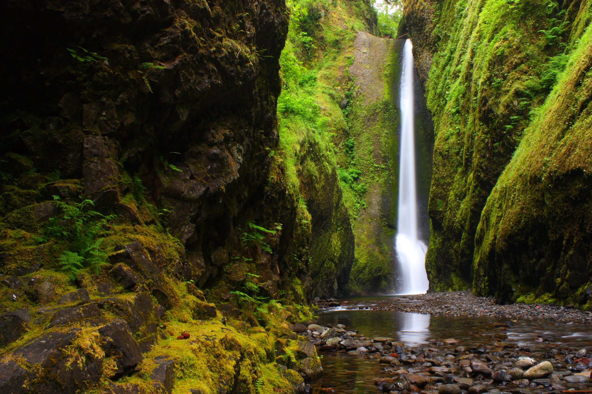 rivière montagne forêt nature rivière gorge oregon