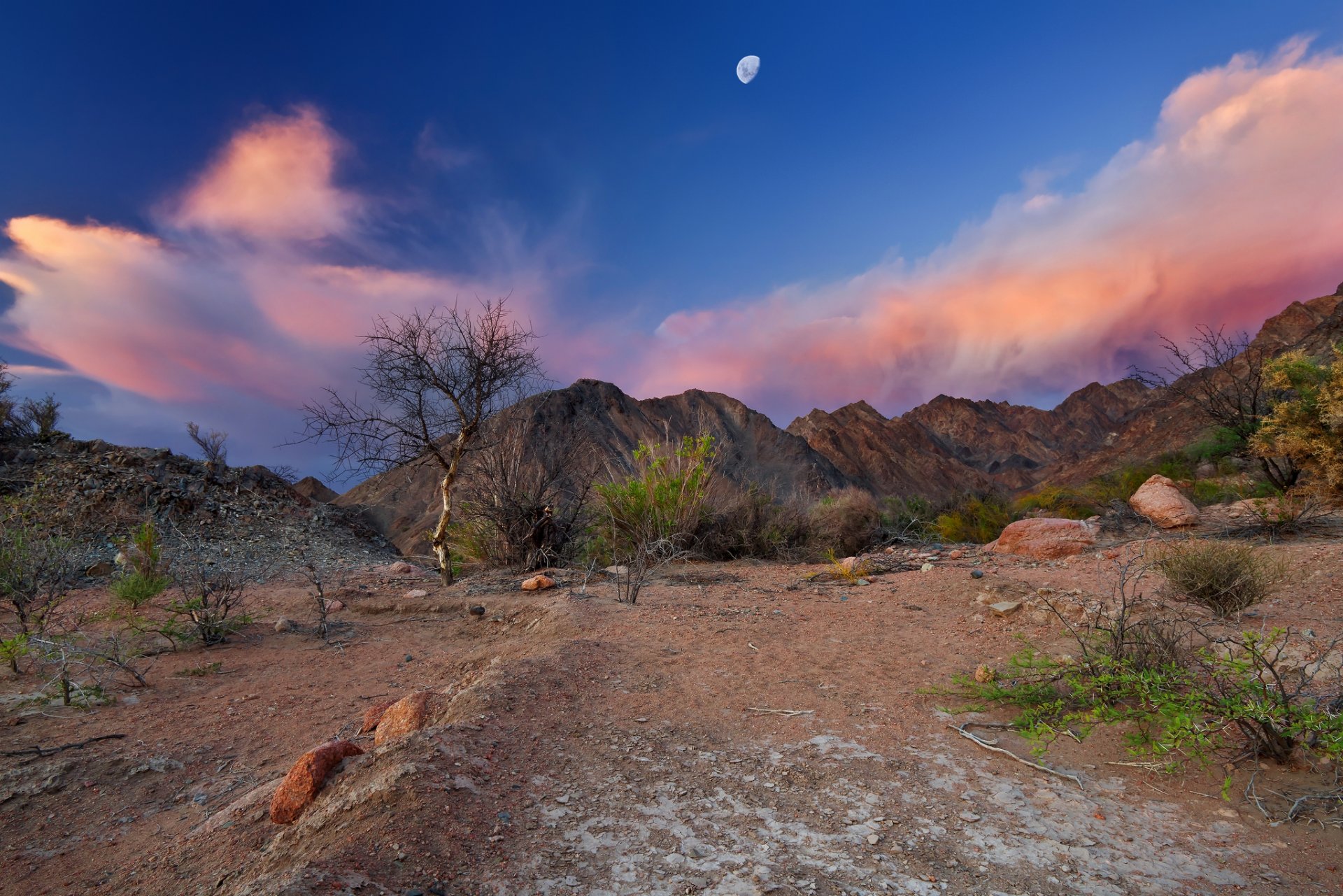 argentina catamarca fiambalá montañas desierto cielo luna engelhaupt.photo