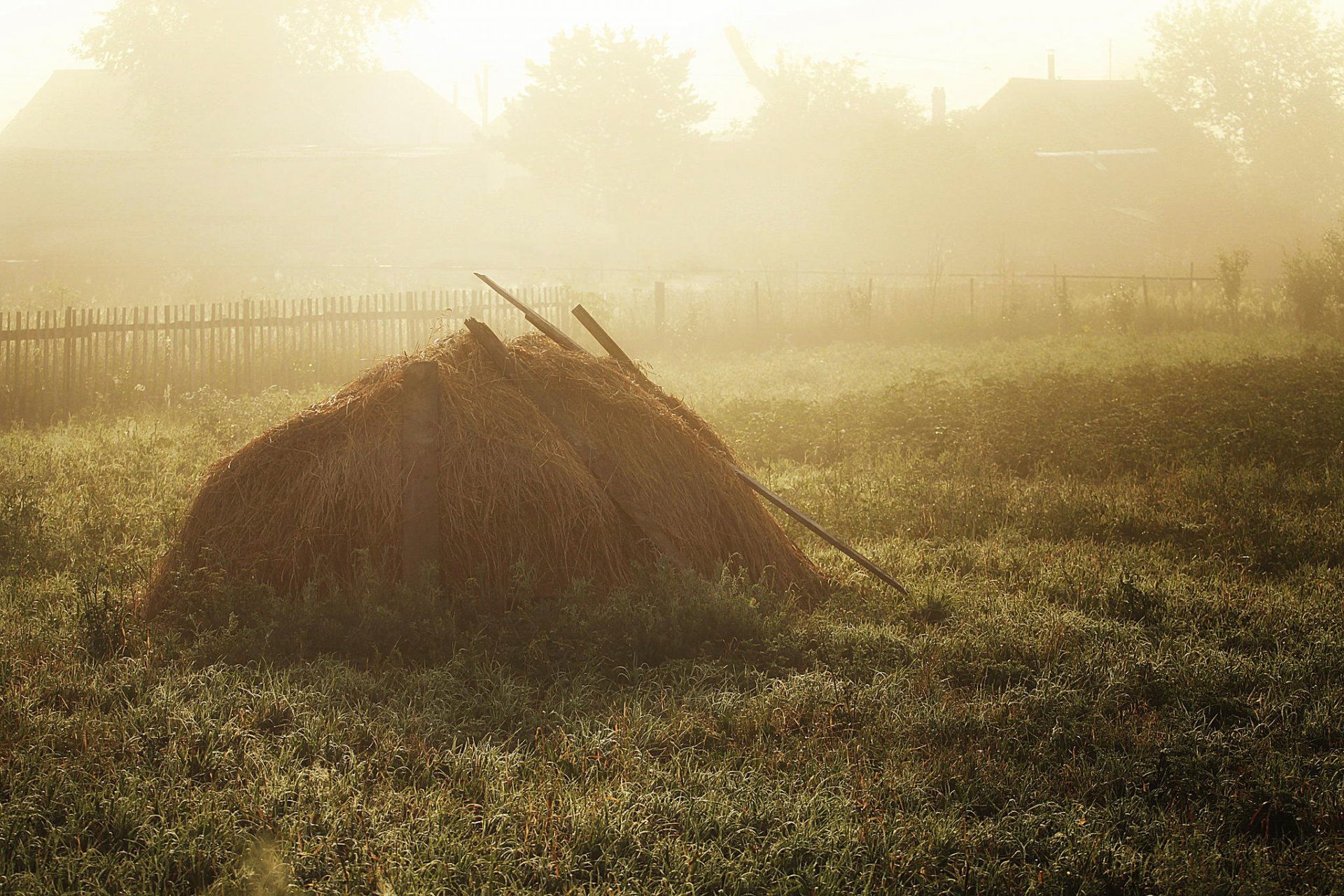 heuhaufen heu morgen land nebel