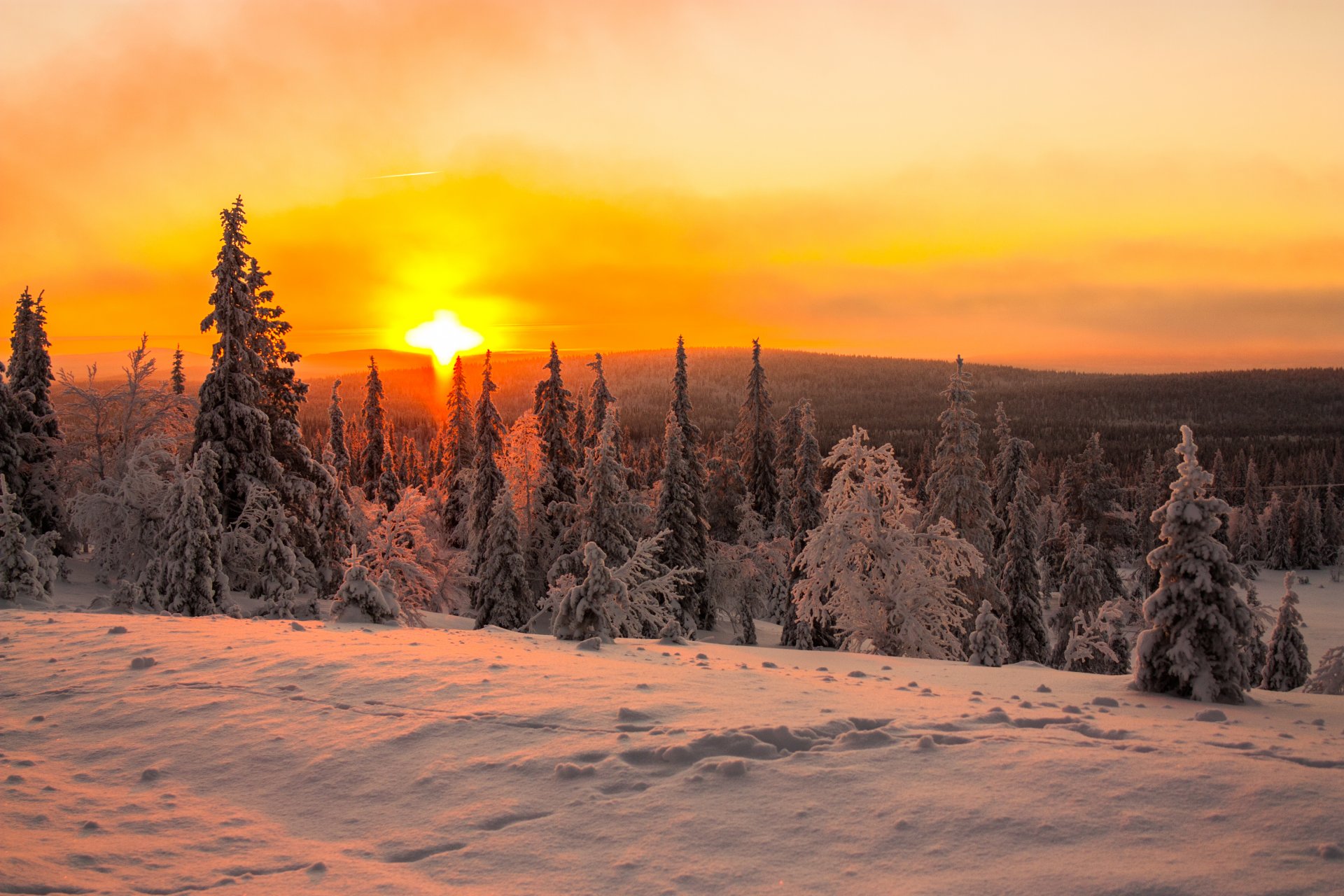 aube soleil neige forêt collines hiver