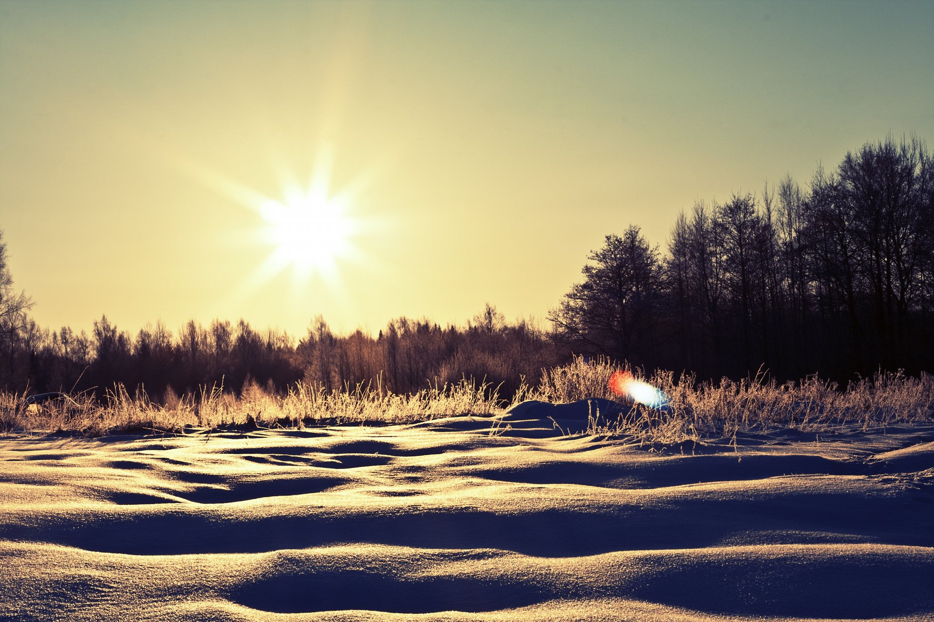 wintertag schnee bäume winter sonne