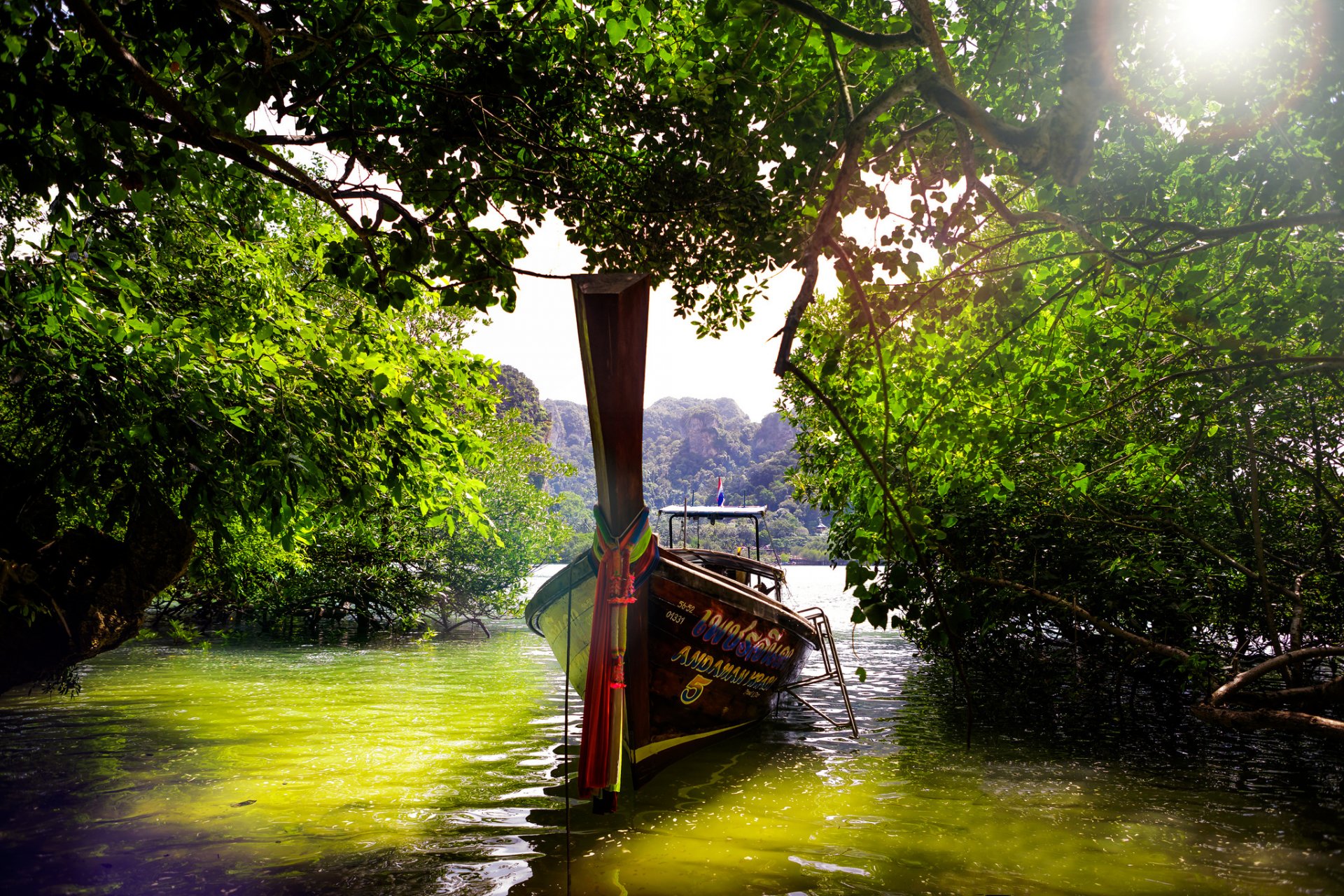 thailand jugnli wasser boot bäume