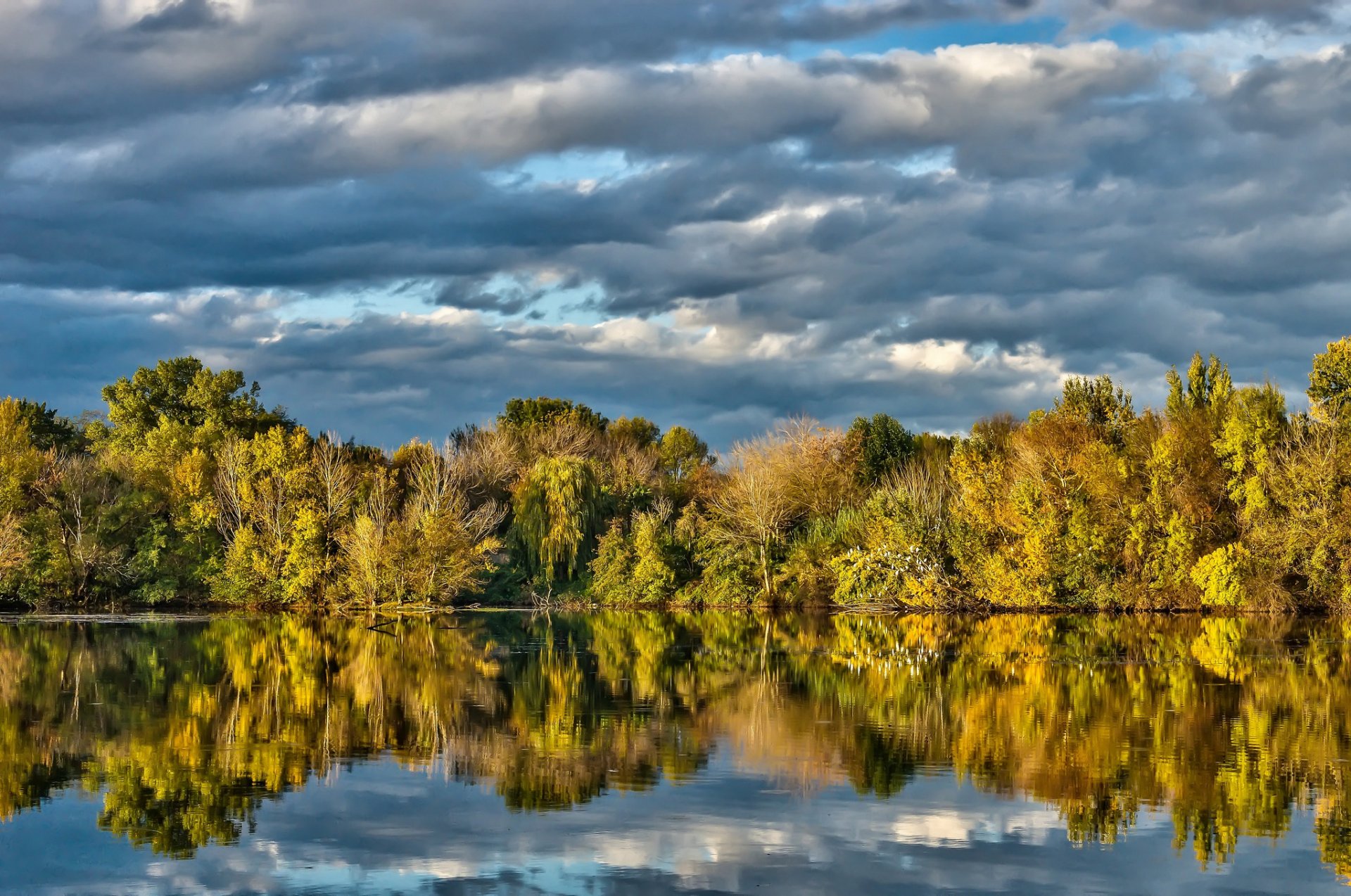 alberi lago riflessione