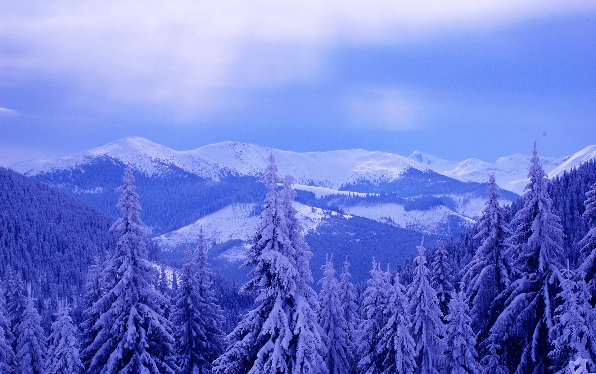 ciel nuages montagnes hiver neige arbres sapin paysage