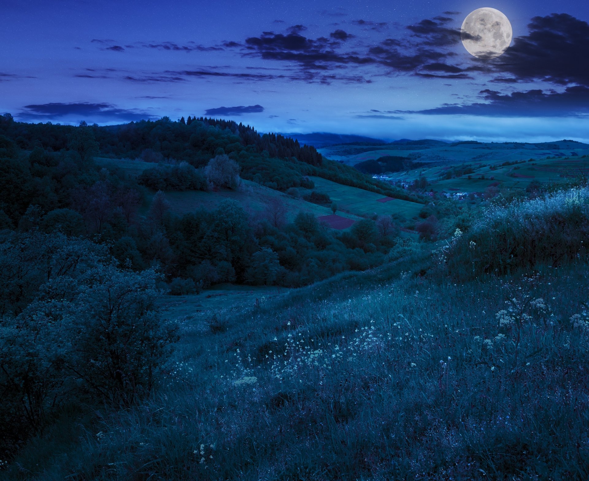 natura notte colline alberi luna