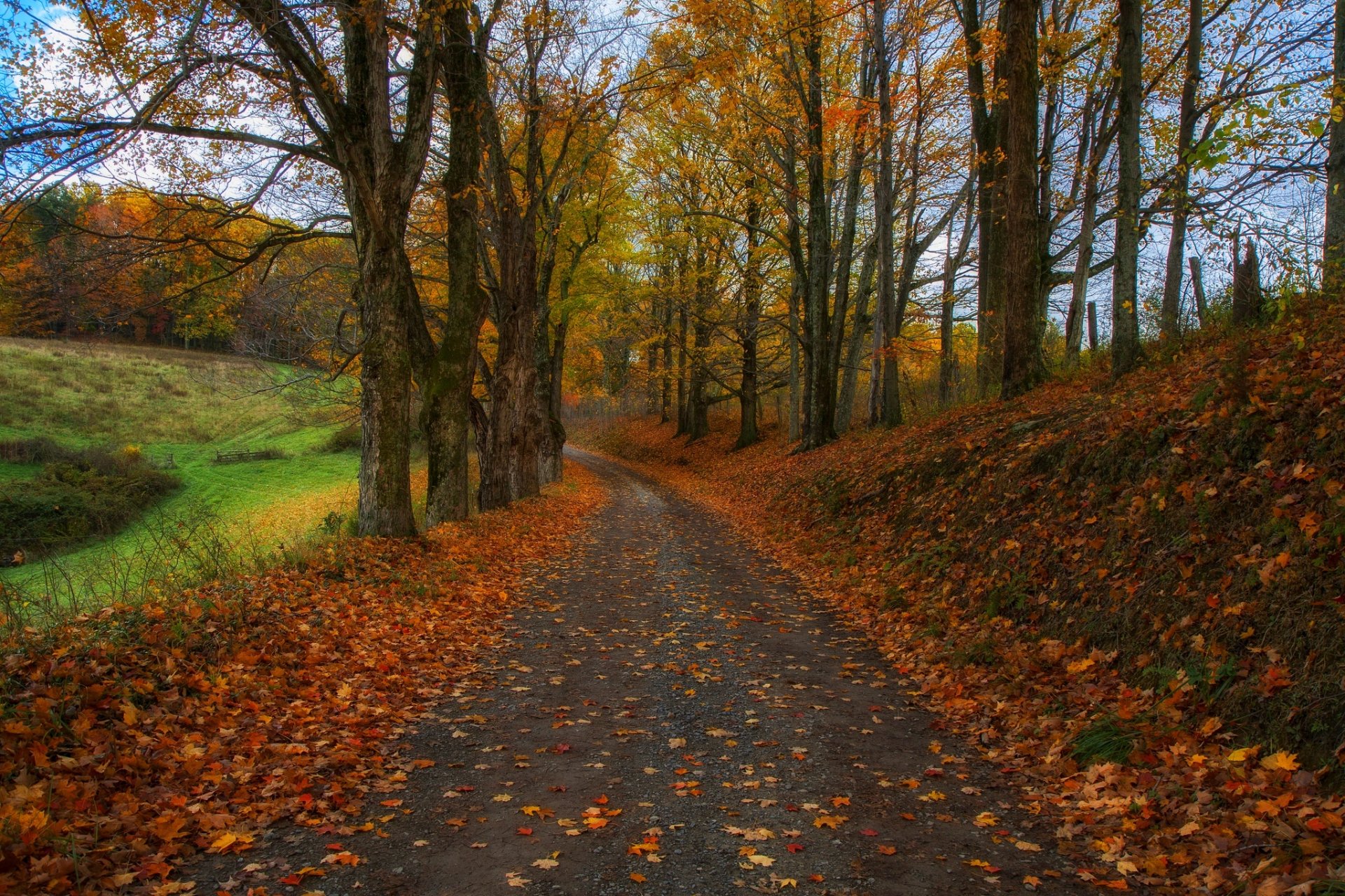 Дорога В Парке Осенью