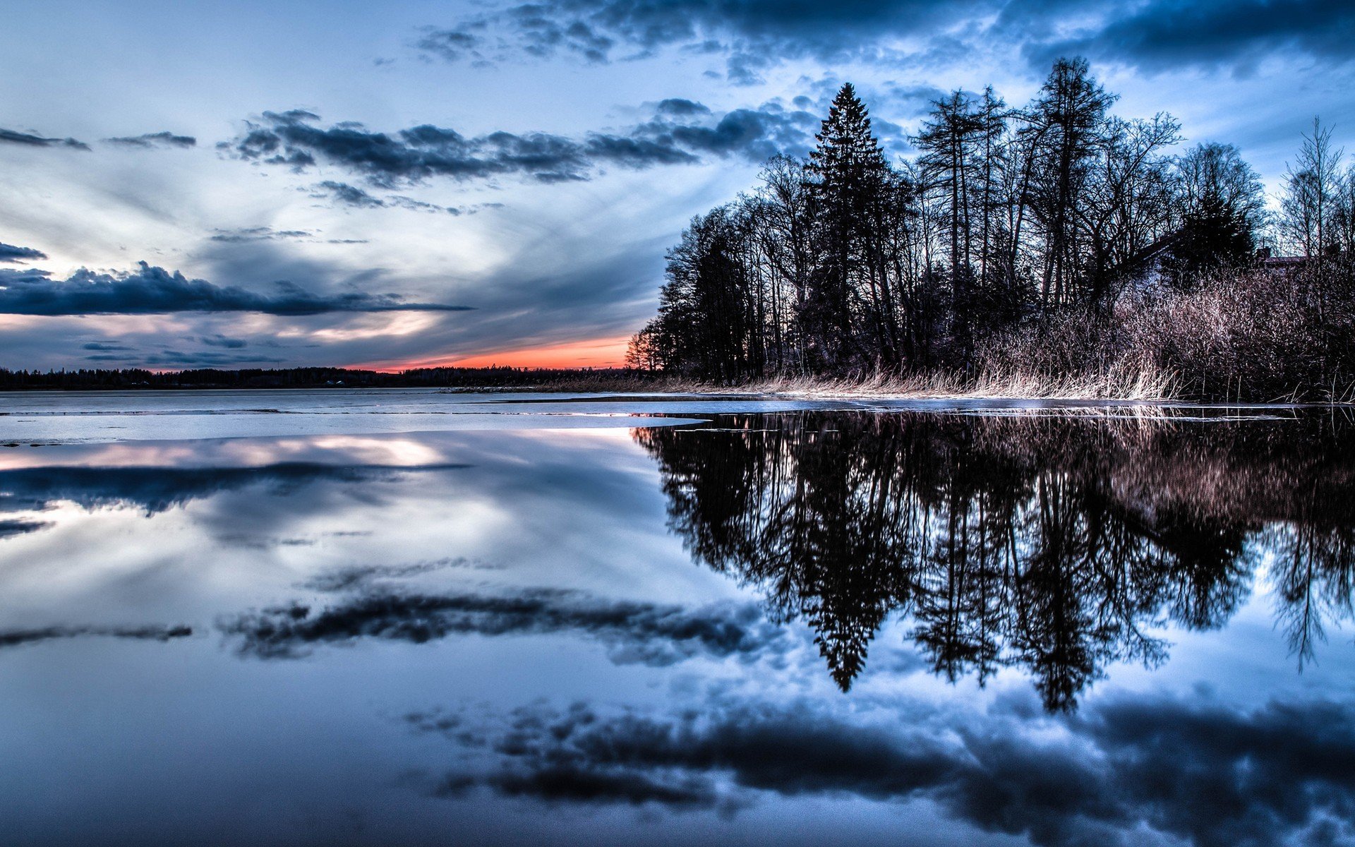 bosque reflexión agua naturaleza árboles cielo nubes