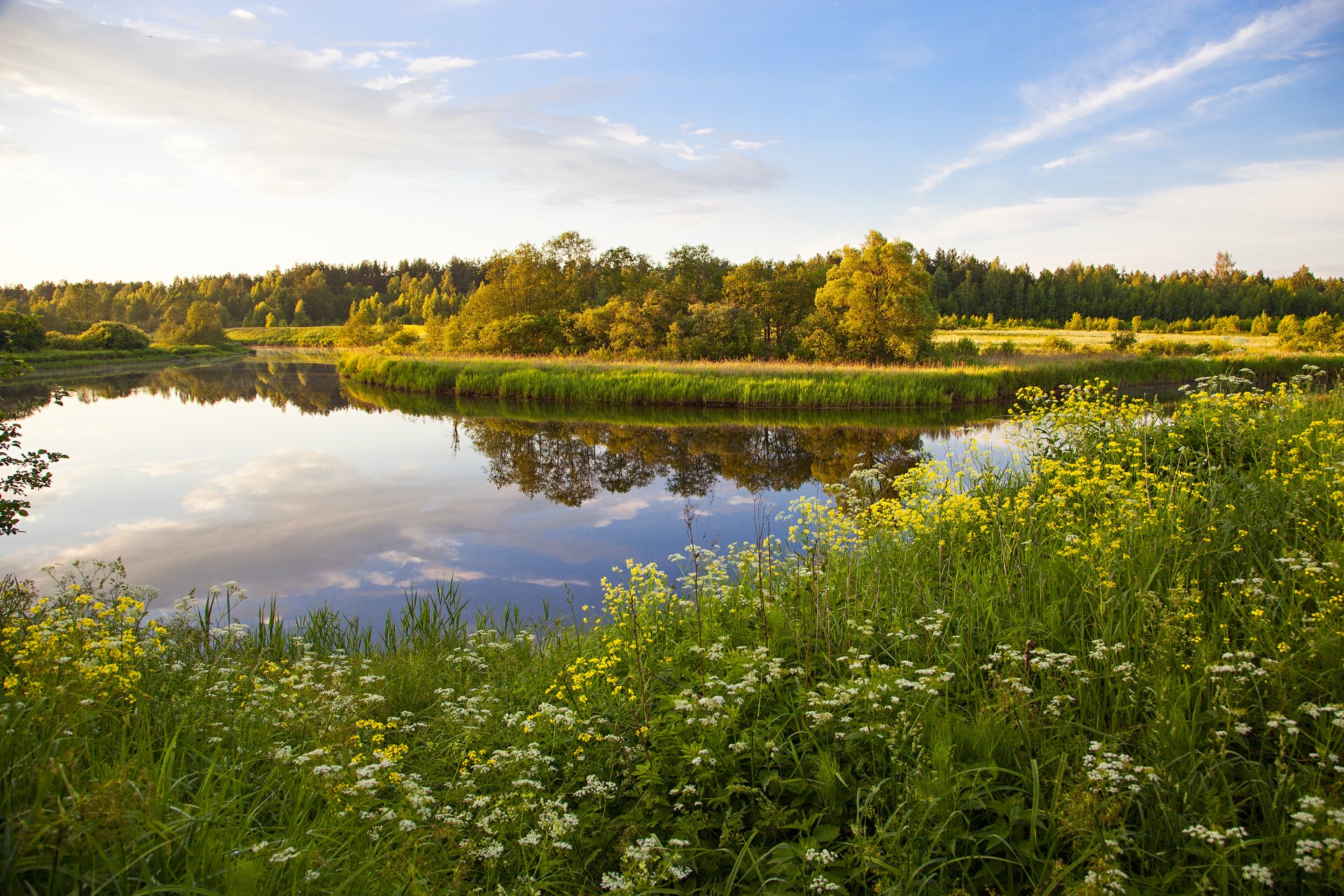 rusia tver lago hierba flores prioda árboles