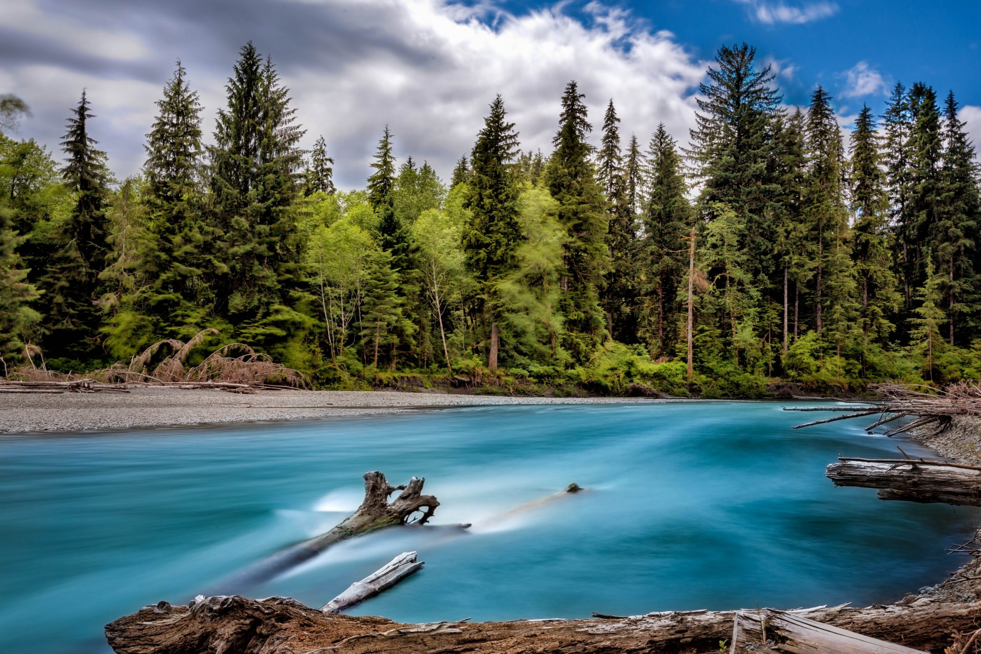 rivière rivage forêt arbres état de washington états-unis