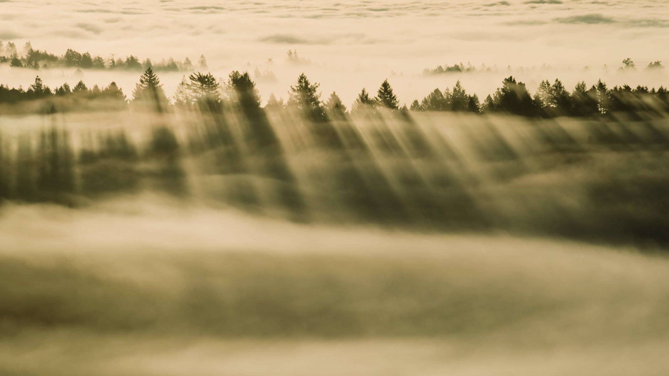 apfel os x mavericks mac neblig wald nebel