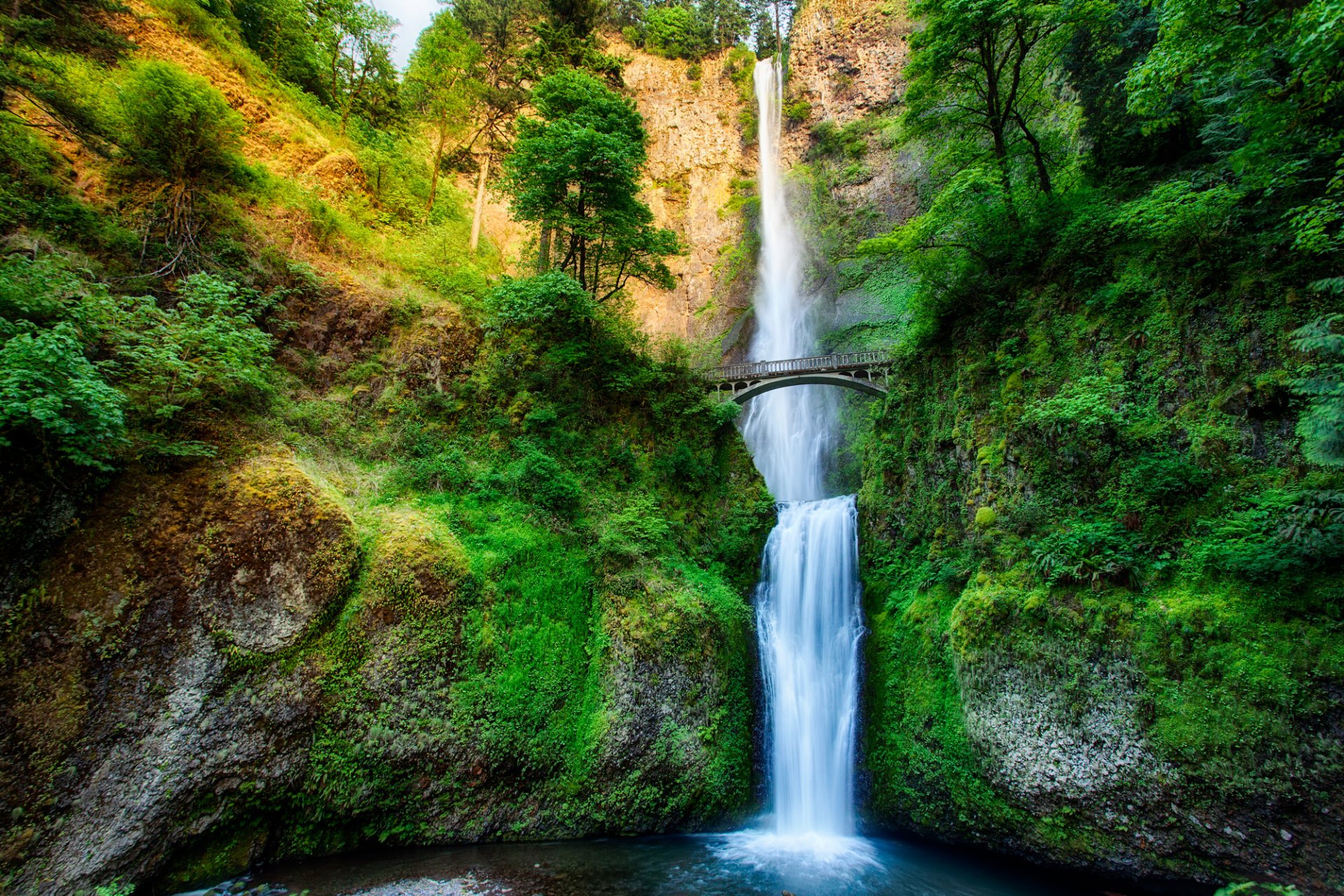 oregon états-unis cascade rivière ruisseau forêt arbres pont rocher