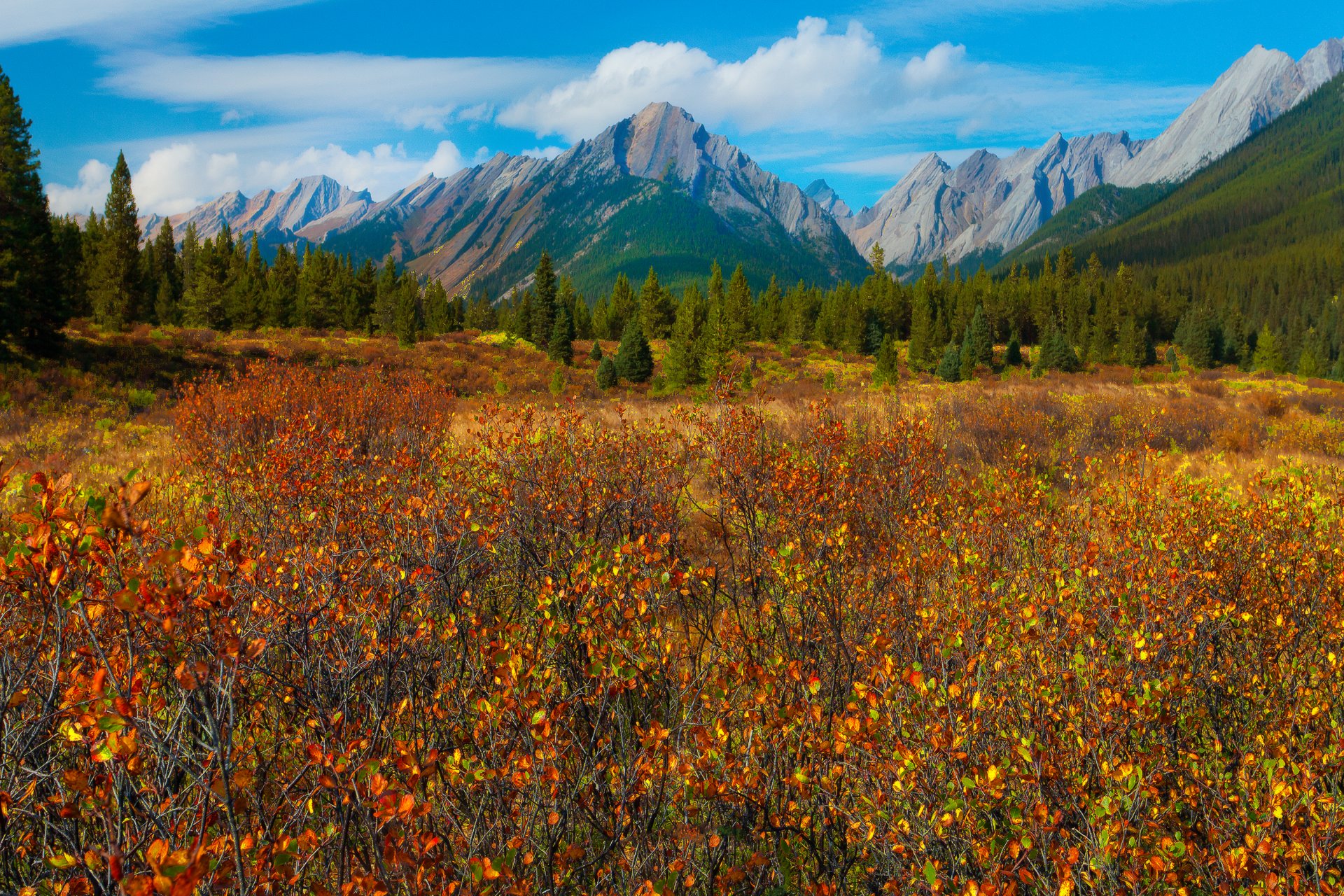 parque nacional banff alberta canadá otoño montañas cielo bosque árboles prado hierba hojas