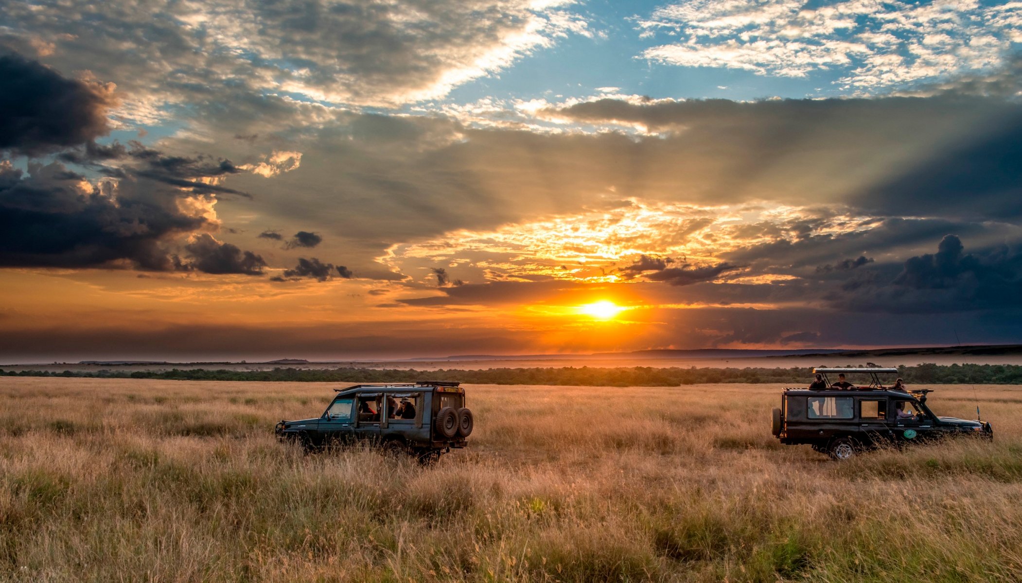 safari coches cielo horizonte