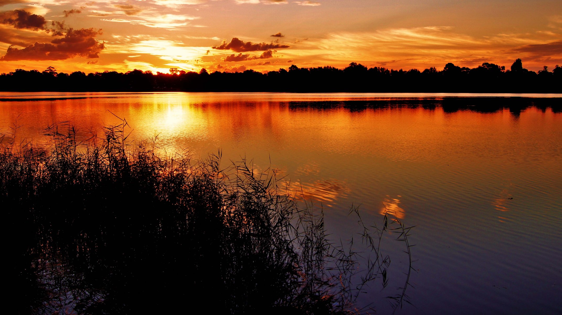 sonnenuntergang see gras abend silhouetten ufer wolken