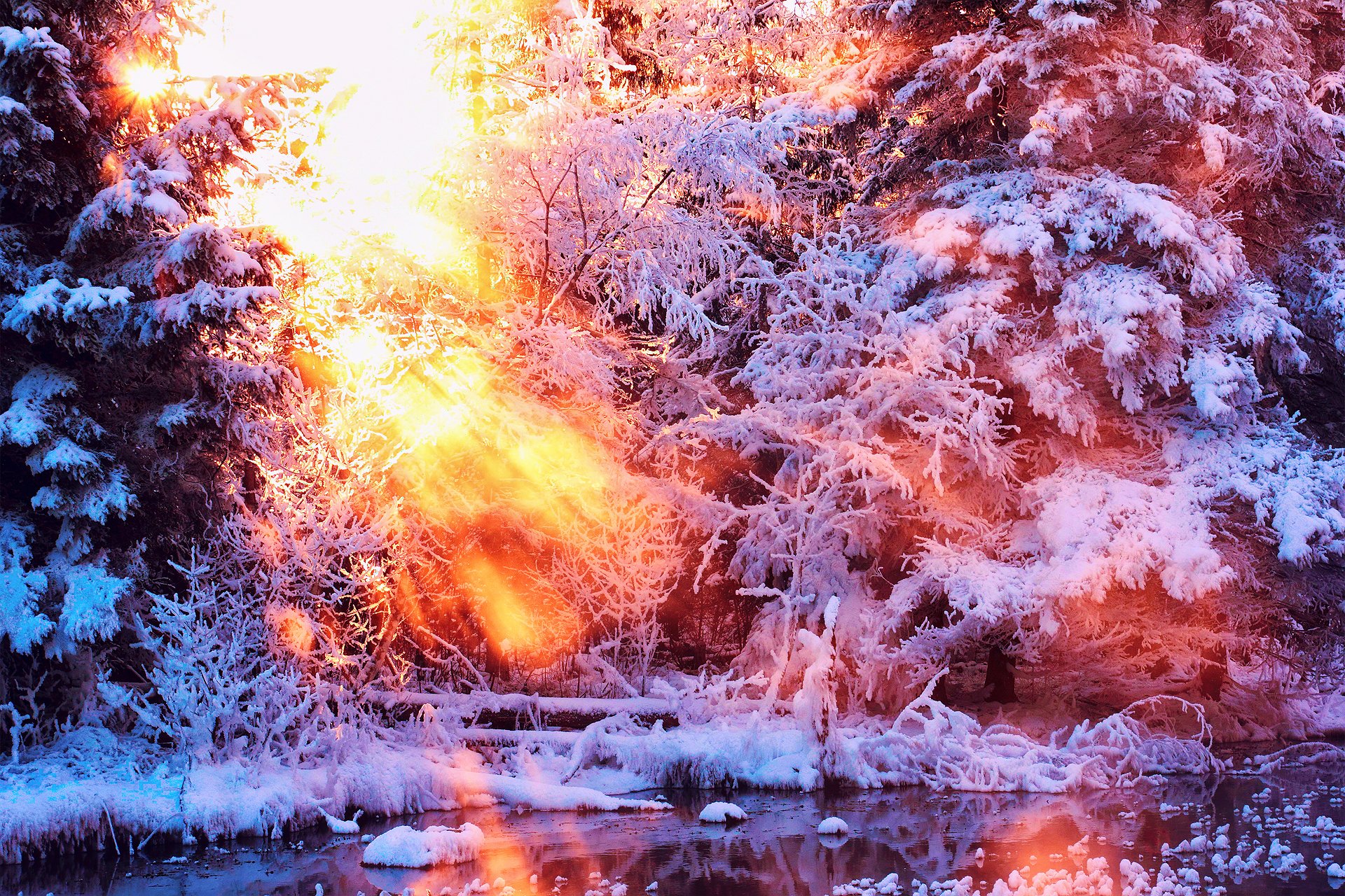 natura inverno neve luce alberi sole acqua