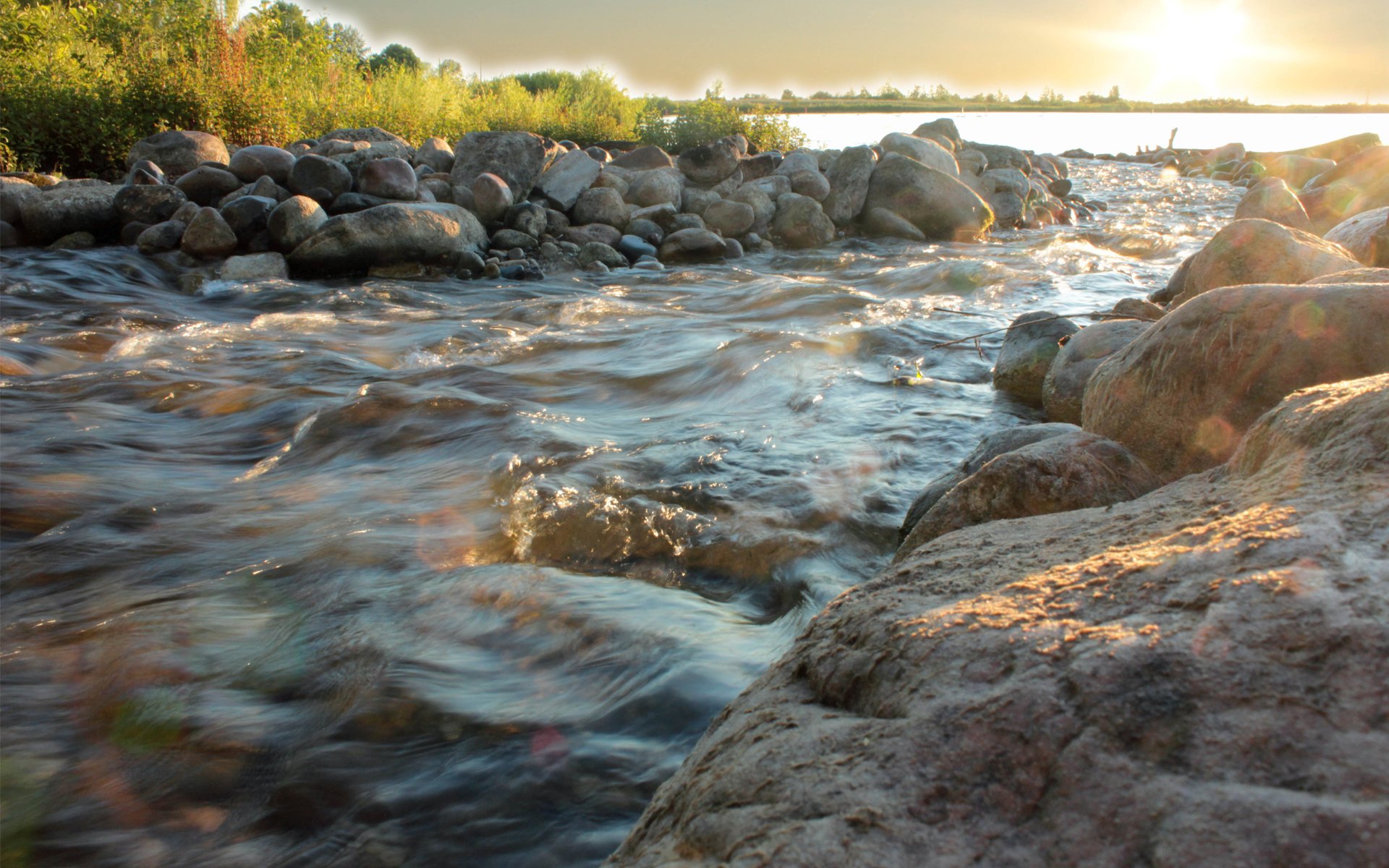 río corriente río piedras agua arroyo árboles sol foto