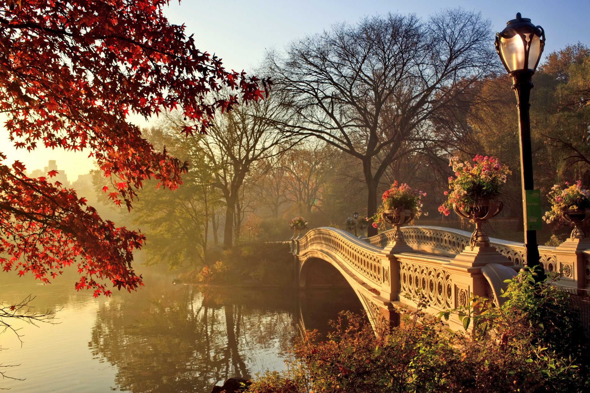 jesień park most sezon jesienny krajobraz