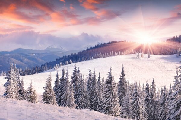 Die helle, warme Sonne erhellt den Wintertag