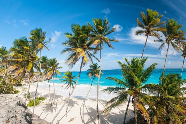 Vacaciones, Bahamas, arena blanca