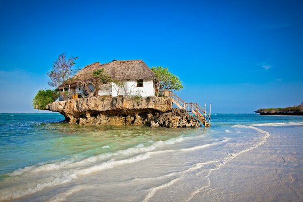 Maison avec des arbres sur une île au bord de la mer