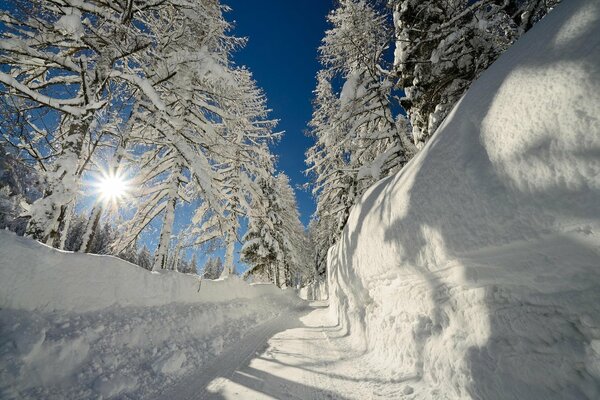 Strada a blocchi solari nella foresta di Morse d inverno