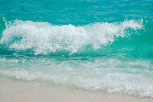 Espuma de mar en la costa blanca de la playa