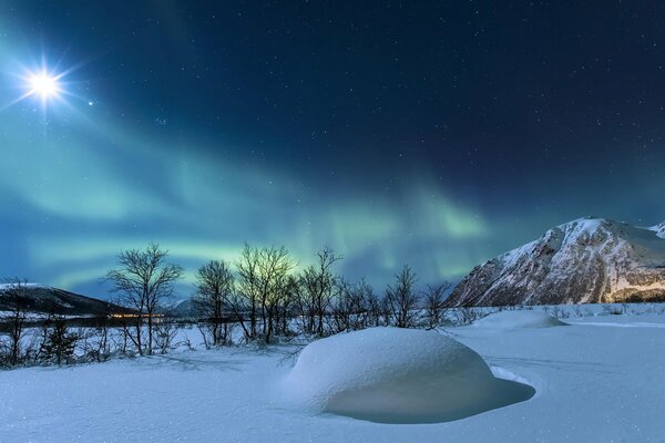 Nordlichter im verschneiten Winter