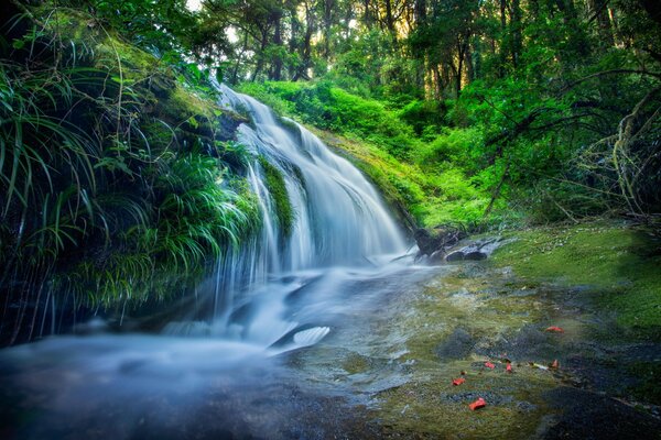 Kleiner Wasserfall im grünen Wald in Thailand
