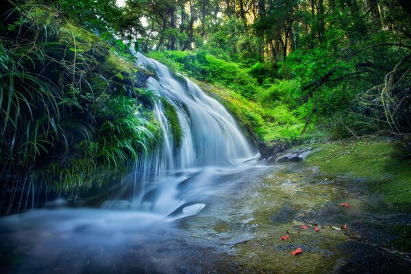 A small waterfall in a green forest in Thailand