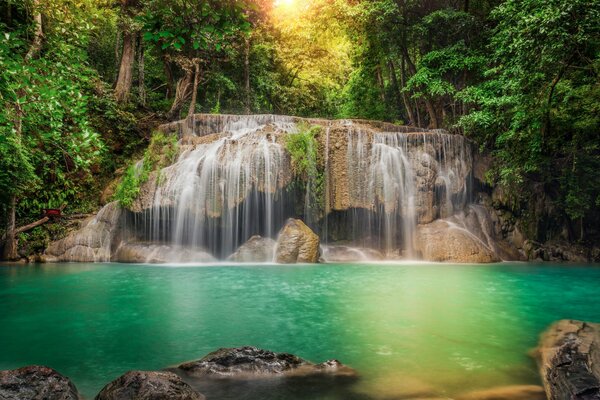 Belle cascade dans la jungle de Thaïlande