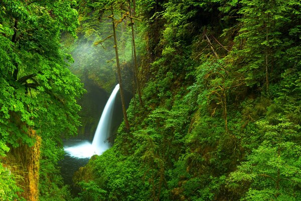 Cascada en el fondo de la naturaleza