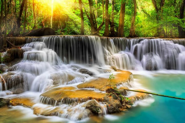 Schöner Wasserfall im Wald. Kaskade aus Wasser