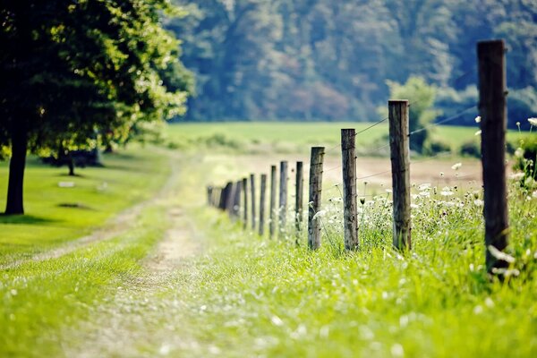 A road in a green field and a fence